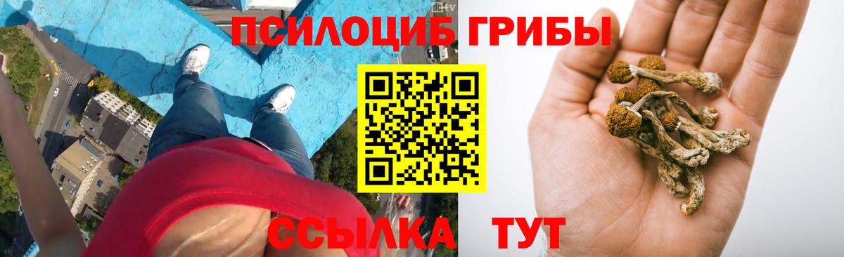 Псилоцибиновые грибы мицелий Клин